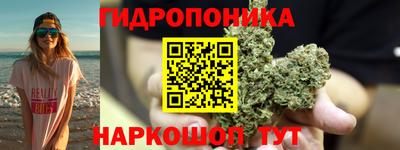 прущие грибы Пенза