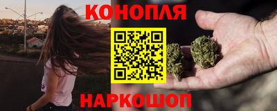 прущие грибы Пенза