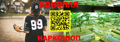 тгк Пугачёв