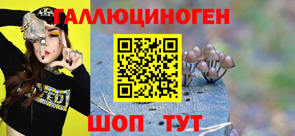 Сатка  Галлюциногенные грибы MAGIC MUSHROOMS  Вход с VPN 